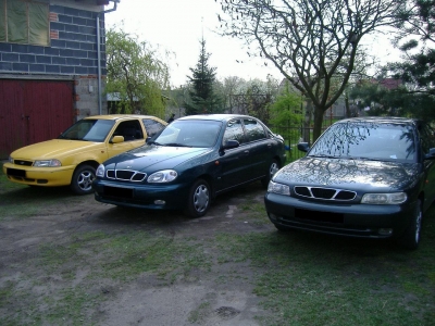 cars-show